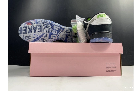 Staple Dunk Panda SB Pigeon Low BV1310-013 Nike 0223